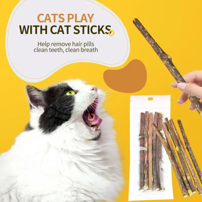 Liwopet PURRMINT Sticks - Natural Dental Delights for Your Cat