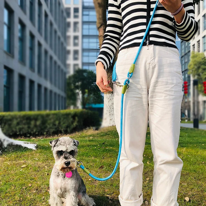 Liwopet GLOWGUIDE Reflective Dog Leash - Experience the Comfort and Safety for Nighttime Walks