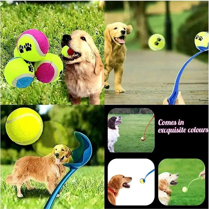 Liwopet FETCHMASTER Ball Launcher- Effortless Fun with Your Four-Legged Friend