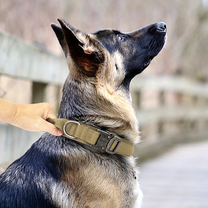 Liwopet HEAVYDUTY Tactical Dog Collar & Bungee Leash Set - Perfect for Training and Walks