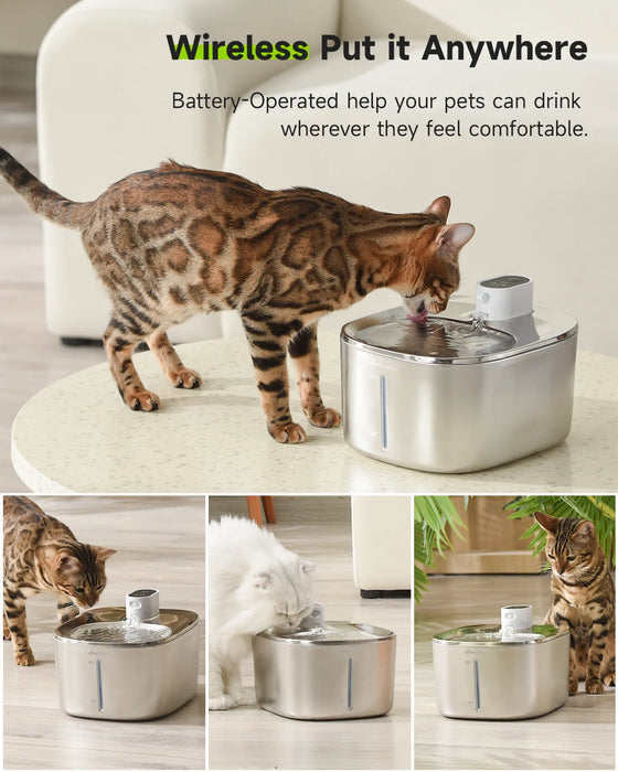 Liwopet LUXFEAST - Redefine Your Pet's Dining with LuxFeast – Ultimate Elegance & Comfort