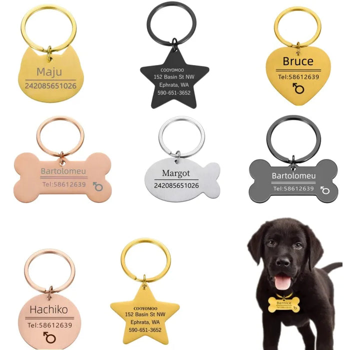 Liwopet TAILTROVE Pet ID Tag - Unique, Engraved ID Tags for Stylish Pet Safety