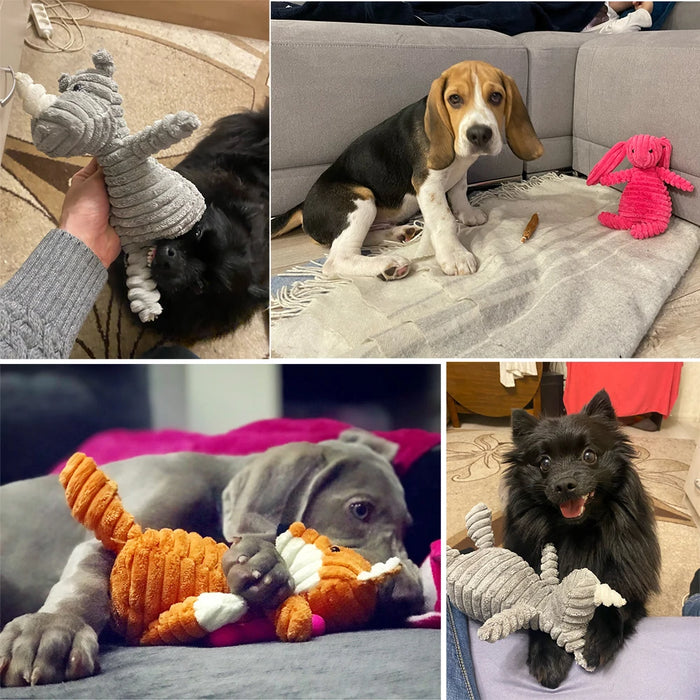 Liwopet SQUEAKIMALS Plush Dog Toys - Durable, Squeaky Plush Toys for Fun Pet Playtime