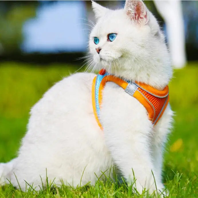 Liwopet REFLECTEASE - Stay Safe and Comfortable with Reflect Ease Pet Harness